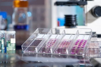 Фотография к новости: Сенат принял законопроект Минздрава о клинических исследованиях на уязвимых группах населения