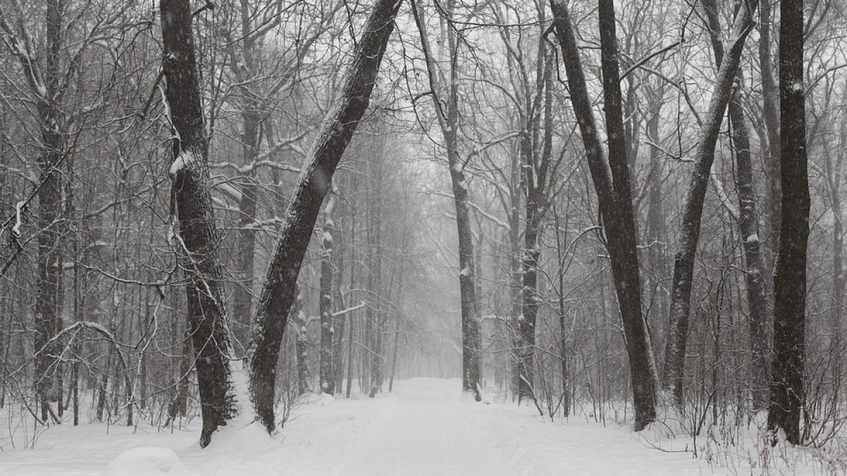 РИА "7 новостей"