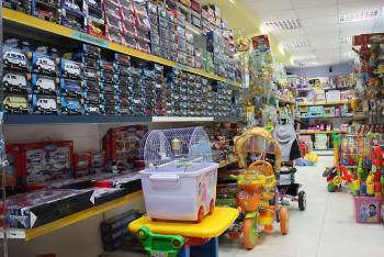 Фотография к новости: В Алматы 74% продаваемых детских игрушек не прошли санпроверку 