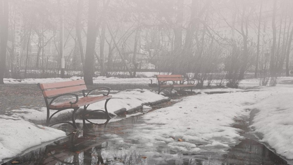 novosti-saratova.ru