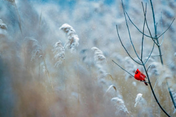 Фотография к новости: В выходные в Казахстане заметно потеплеет