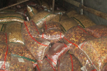 Фотография к новости: Контрабандные фрукты и сухофрукты пытались провезти в Казахстан