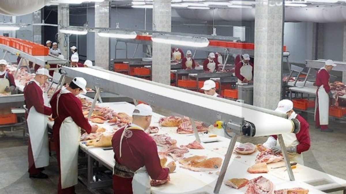  Более 250 человек будет трудоустроено на мясокомбинате в ВКО
