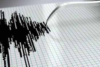 Землетрясение магнитудой 4,1 произошло в 133 км от Алматы