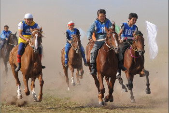 Нурбол Назарбаев стал президентом федерации "Бәйге" 
