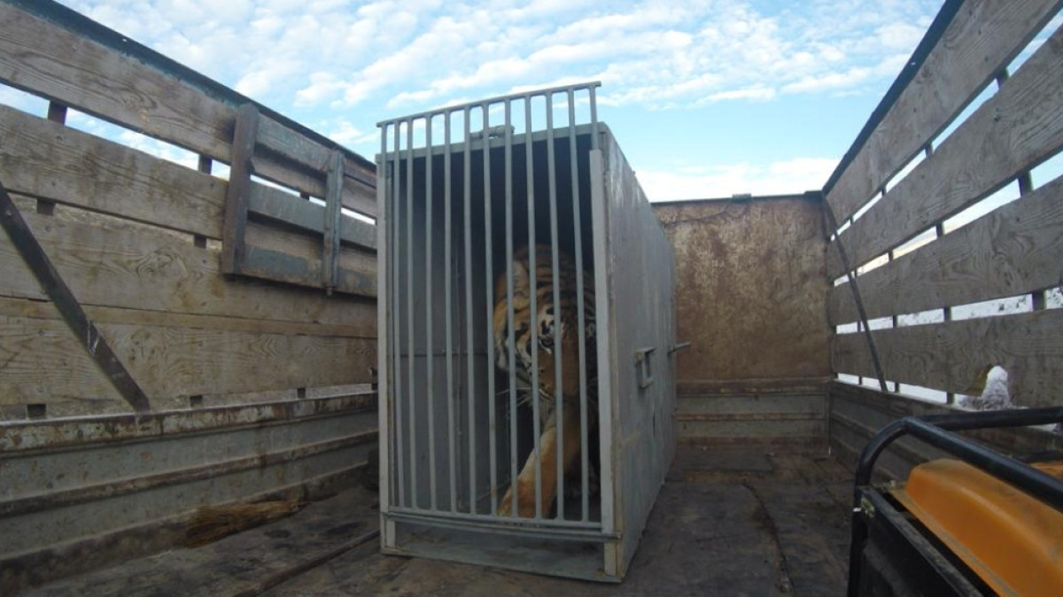 ДЧС Жамбылской области