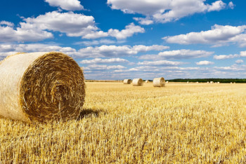 Фотография к новости: В Акмолинской области оцифровано около 6 млн гектаров полей