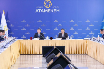 Кулибаев предложил ввести KPI по закупкам