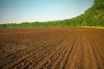Фотография к новости: До конца года все поля в Казахстане оцифруют