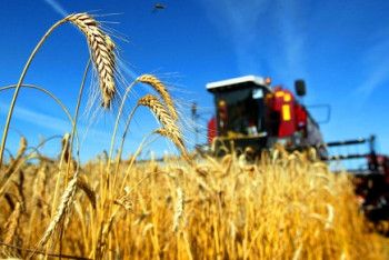 Фотография к новости: Более 170 казахстанских предприятий могут экспортировать сельхозпродукцию