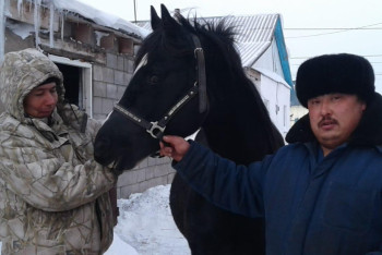 Фотография к новости: Как программа "Сыбаға" помогла "развернуться" акмолинскому фермеру