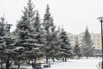 Фотография к новости: Туманы и мороз ожидаются  в Казахстане 3 декабря