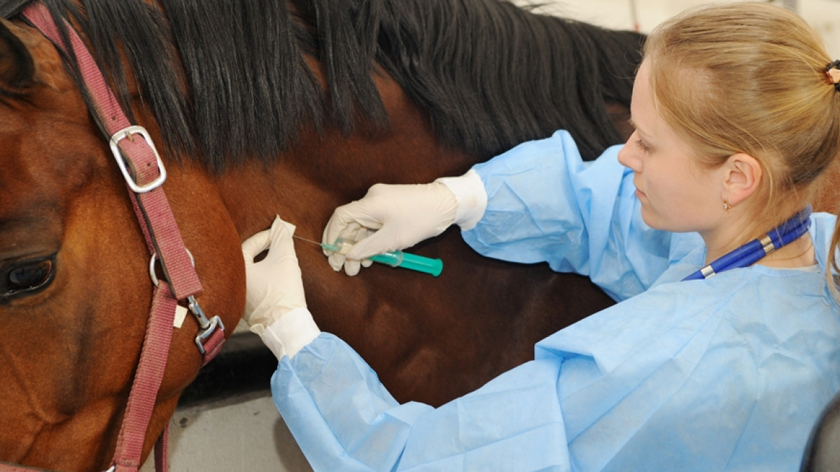 из открытых источников