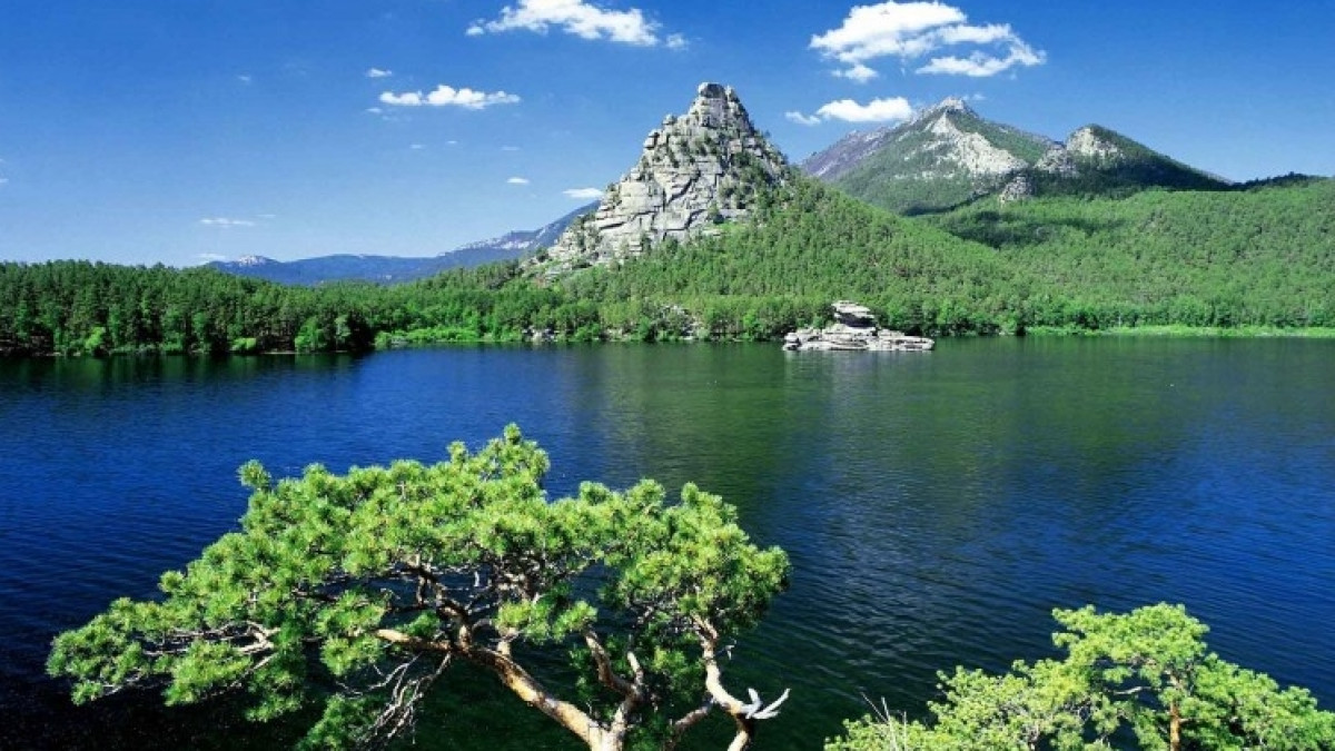 Из открытых источников 