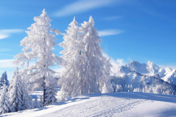 Фотография к новости: Очередная волна похолодания ожидается  в Казахстане к середине декабря