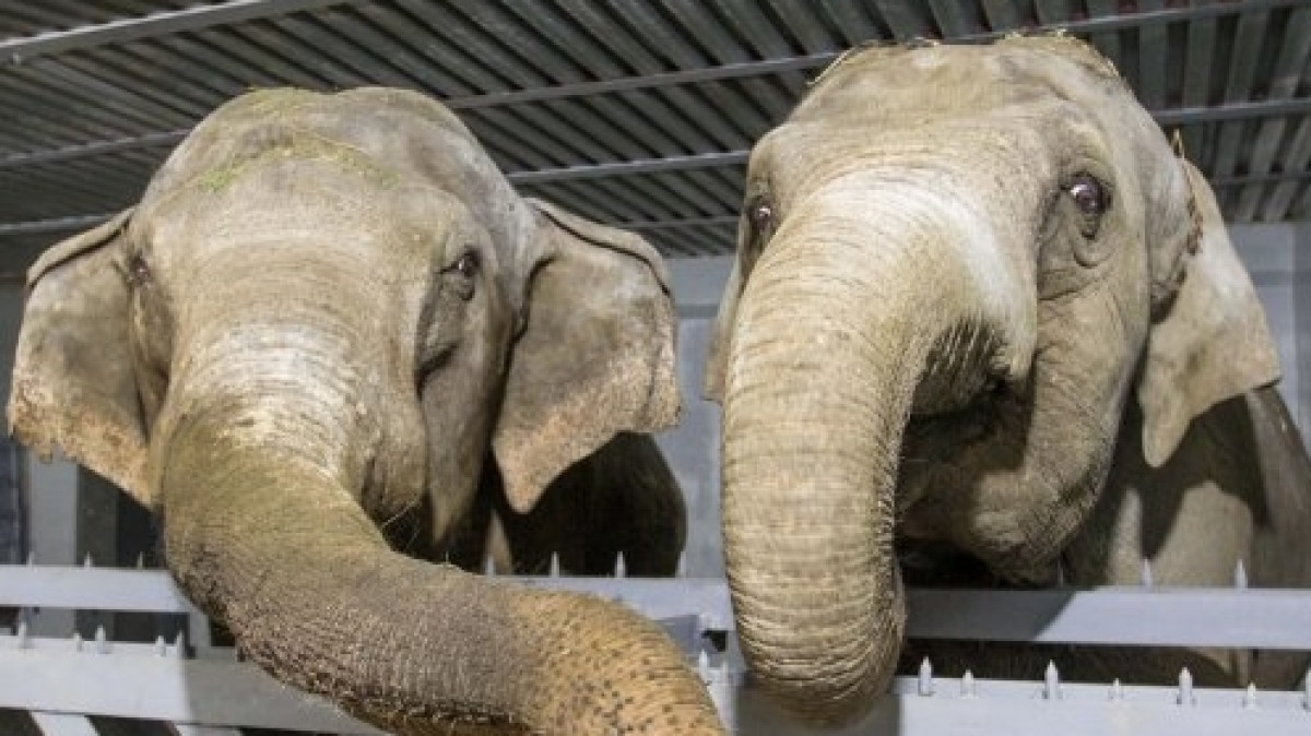 Фото: Павел Михеев