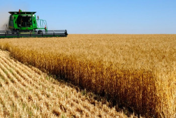 Облигации "Казагро" привлекли 1,2 млрд долларов на KASE