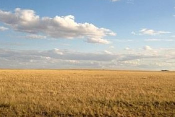 Источник позитивной исторической самооценки – эксперт о статье Президента "Семь граней Великой степи"