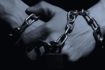 16 фактов торговли людьми выявлено в ходе операции "Stop трафик" 