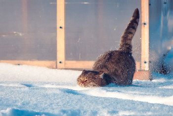 Фотография к новости: Тепло придёт в Казахстан в ближайшие дни 