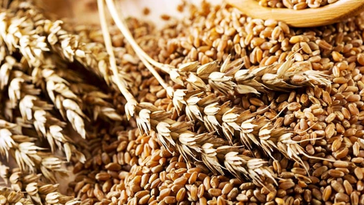 из открытых источников