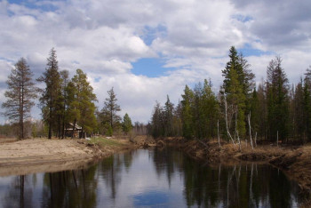 Фотография к новости: МСХ планирует построить резерват на берегу реки Жайык для сохранения лесов