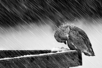 Фотография к новости:  В Шымкенте и двух областях Казахстана объявлено штормовое предупреждение 