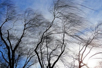 Ветер ожидается в большинстве регионов Казахстана 22 ноября 