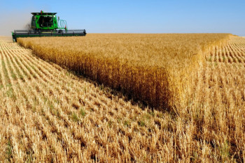 Фотография к новости: Новую методологию по прогнозам урожая разработают в ЕАЭС   