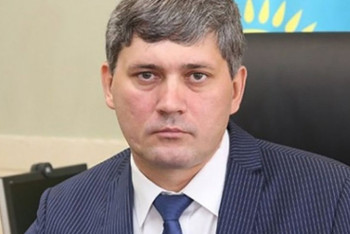 Вице-министр энергетики Анатолий Шкарупа взят под стражу