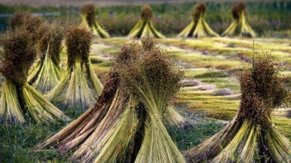 ru.depositphotos.com