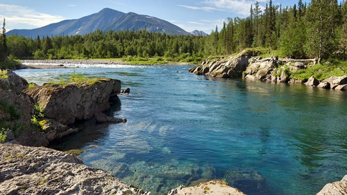 Из открытых источников