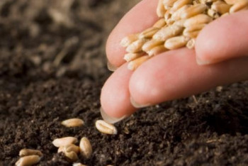 Фотография к новости: 25 млн долларов инвестируют американские бизнесмены в развитие семеноводства РК