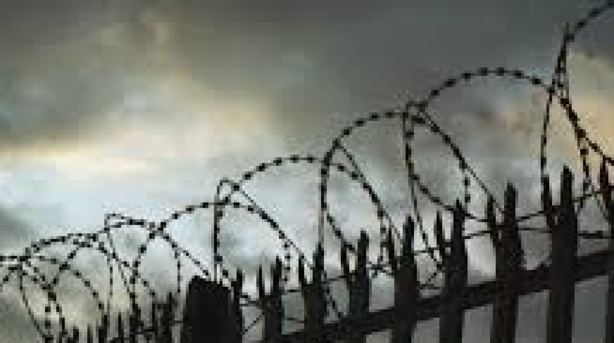 из открытых источников