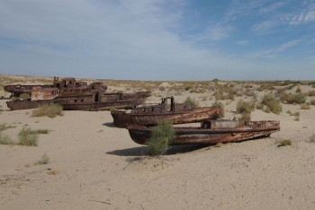 Фотография к новости: Деревья посадят на высохшем дне Аральского моря