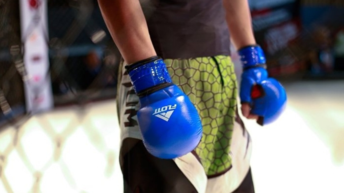 из открытых источников