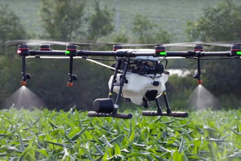 Фотография к новости: Минсельхоз РК назвал лучшие регионы по цифровизации АПК