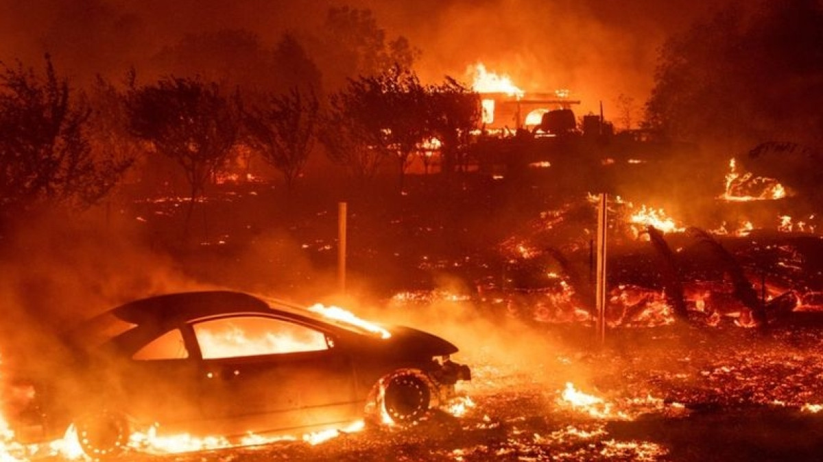 из открытых источников