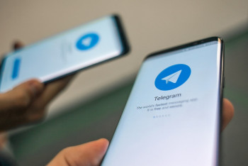 Какими услугами Telegram-бота egov.kz чаще всего пользуются казахстанцы 