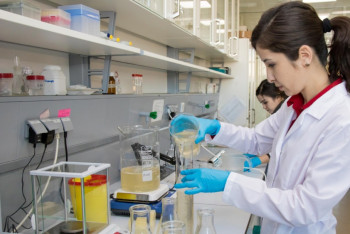 Фотография к новости: МОН приглашает учёных и преподавателей принять участие в конкурсе грантов по инклюзивным инновациям