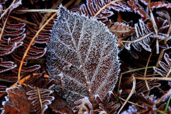 Фотография к новости: В Казахстан придут 20-градусные морозы 