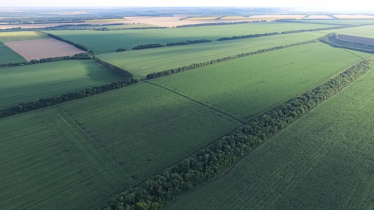 Из открытых источников 