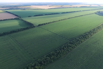 Упростить порядок получения земельных участков для СЭЗ предлагает МИР РК