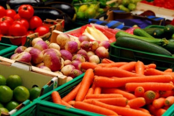 Фотография к новости: Новый мясоперерабатывающий комплекс появится в Акмолинской области