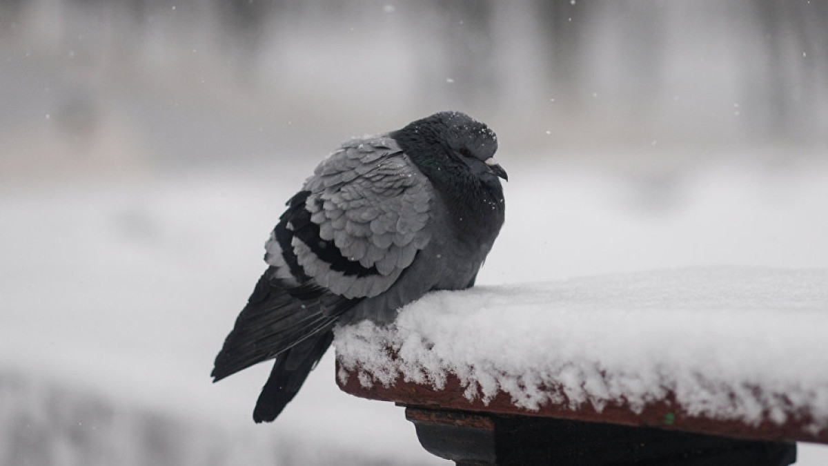 Sputnik Казахстан