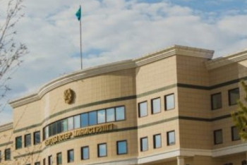 Власти Германии вернули дочь казахстанке, которую забрали за рукоприкладство