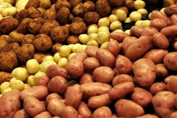 Фотография к новости: 27 тонн картофеля продано на ярмарке в Уральске 