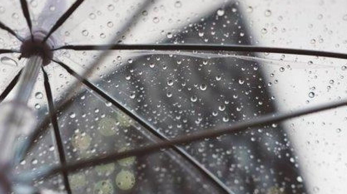 Из открытых источников