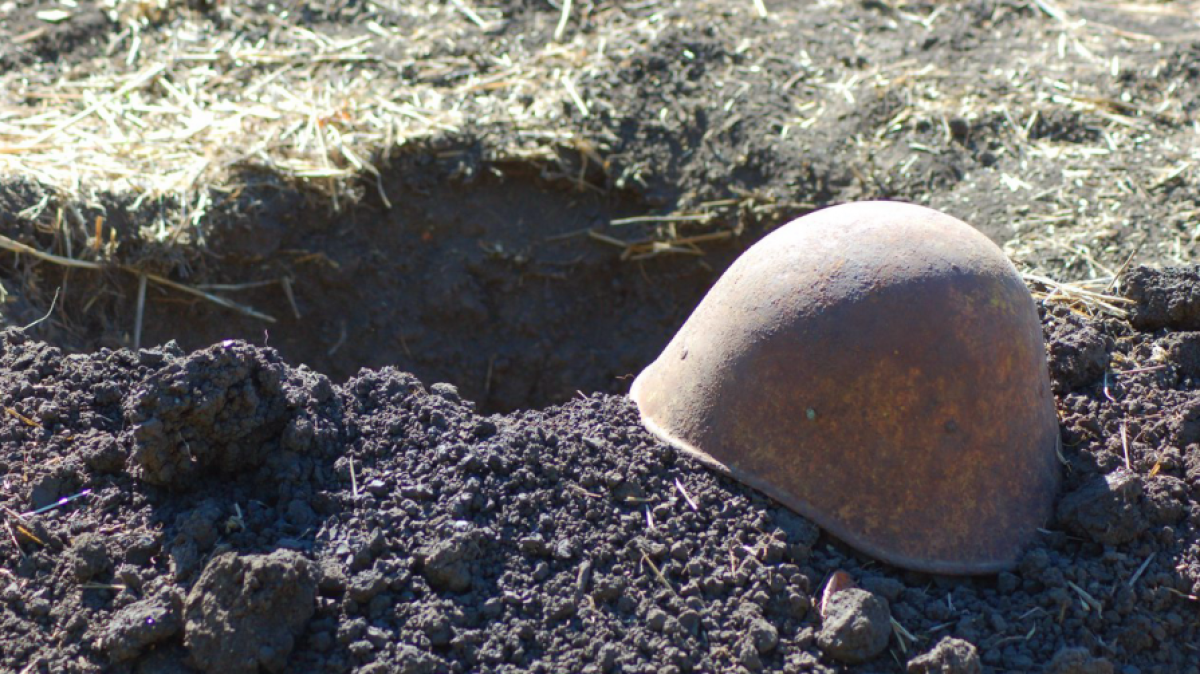 из открытых источников 