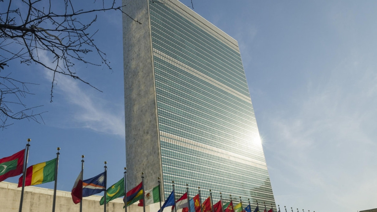 из открытых источников 